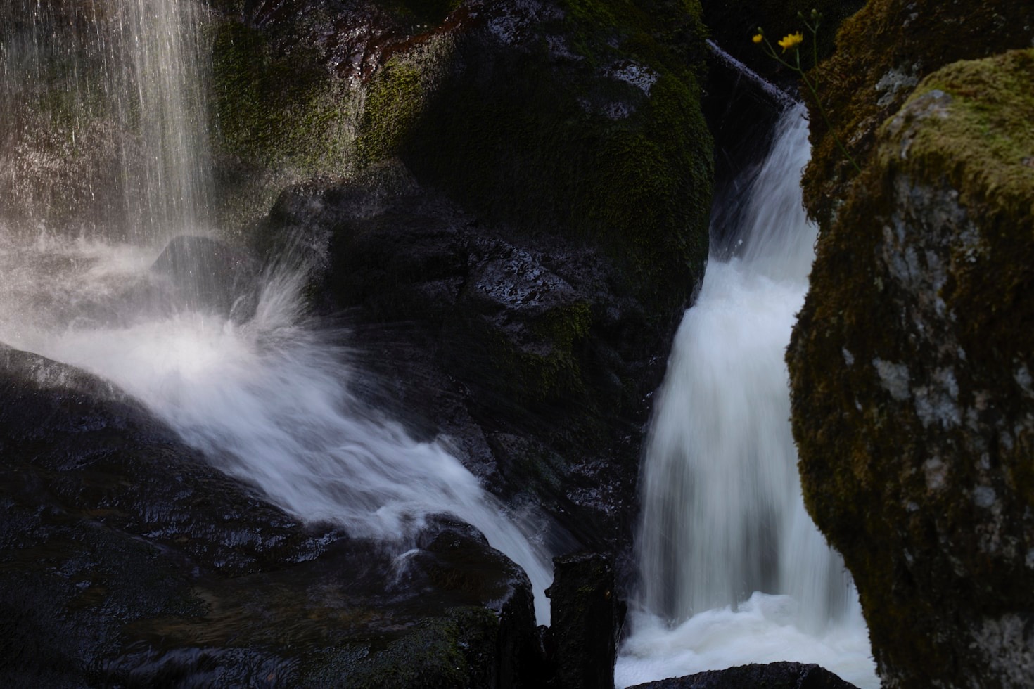 Balancing Intuition and Nature in Modern Living